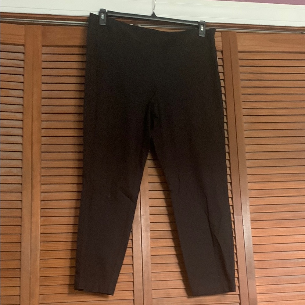 Jaclyn Smith Womens blank pants